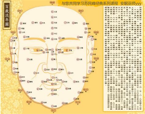 峰生水起精读班|峰生水起精读班